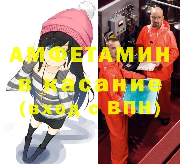 твердый Бородино